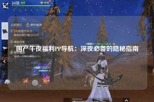 国产午夜福利PP导航：深夜必备的隐秘指南