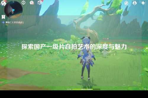 探索国产一级片自拍艺术的深度与魅力