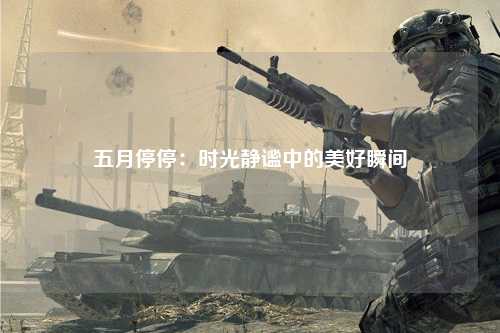 五月停停：时光静谧中的美好瞬间