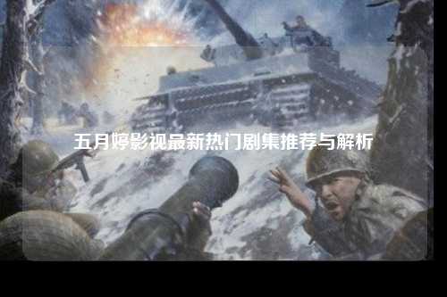 五月婷影视最新热门剧集推荐与解析