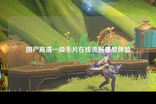 国产高清一级毛片在线流畅播放体验