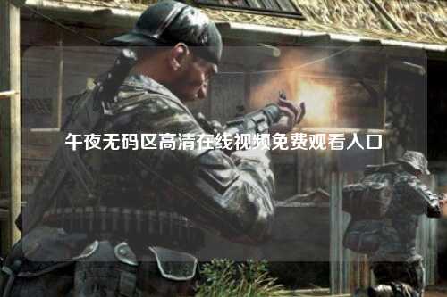 午夜无码区高清在线视频免费观看入口