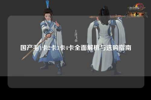 国产毛1卡2卡3卡4卡全面解析与选购指南