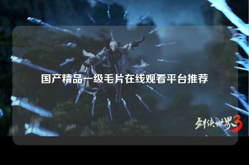 国产精品一级毛片在线观看平台推荐