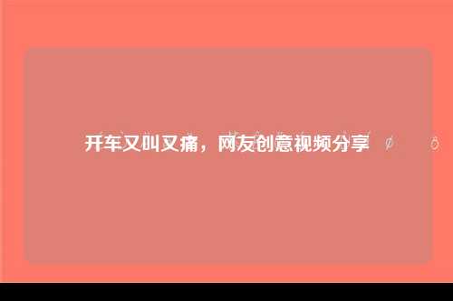 开车又叫又痛，网友创意视频分享