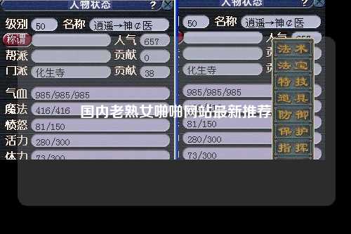 国内老熟女啪啪网站最新推荐