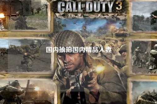 国内揄拍国内精品人妻