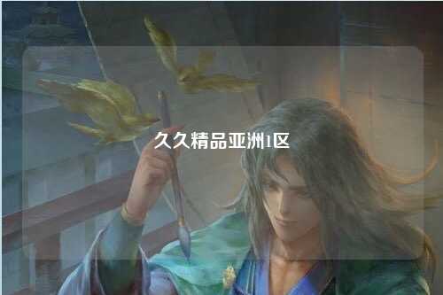 久久精品亚洲1区