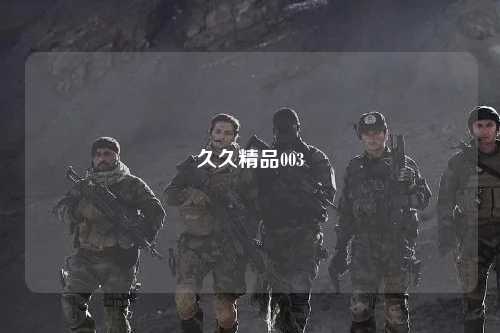 久久精品003