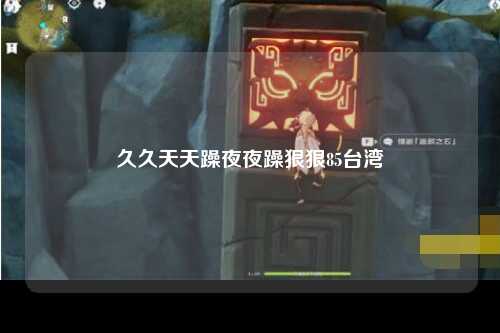 久久天天躁夜夜躁狠狠85台湾