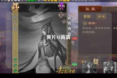 黄片AV高清