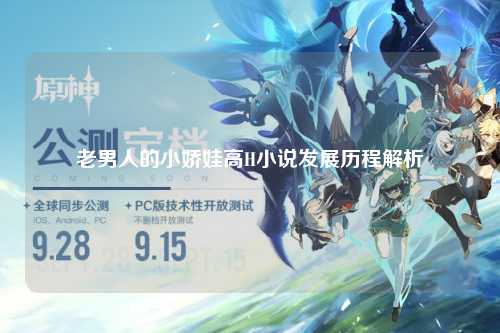 老男人的小娇娃高H小说发展历程解析