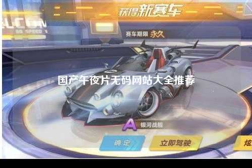 国产午夜片无码网站大全推荐