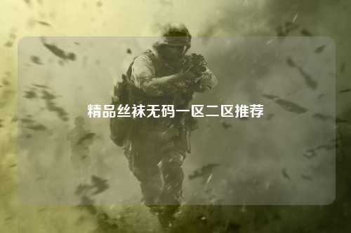 精品丝袜无码一区二区推荐