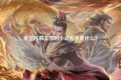 老乞丐慕柔雪的小说名字是什么？