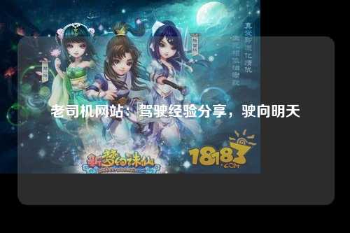 老司机网站：驾驶经验分享，驶向明天